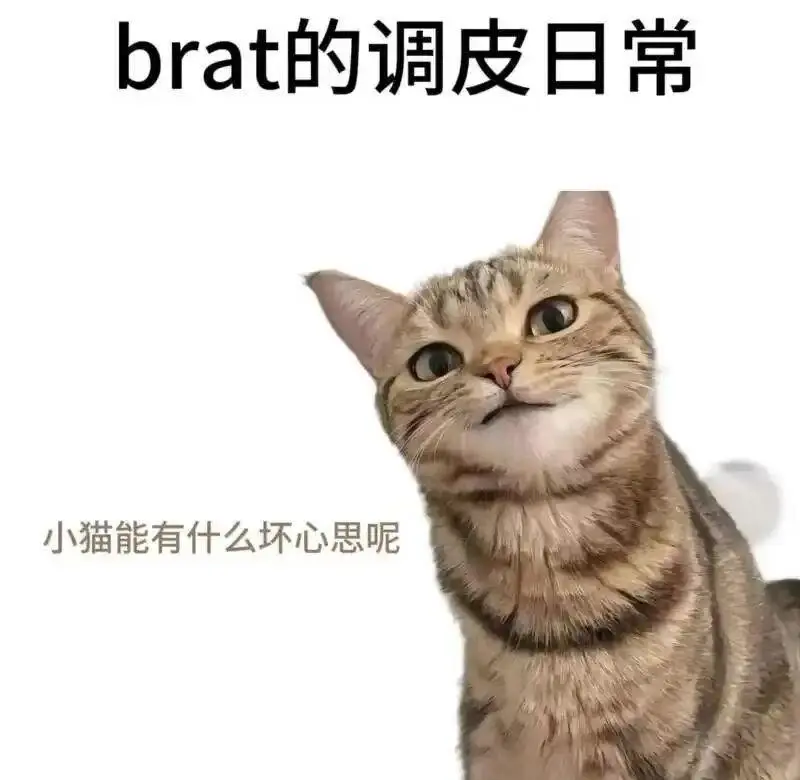 “sub”到底是什么?揭开秘密的面纱! 一