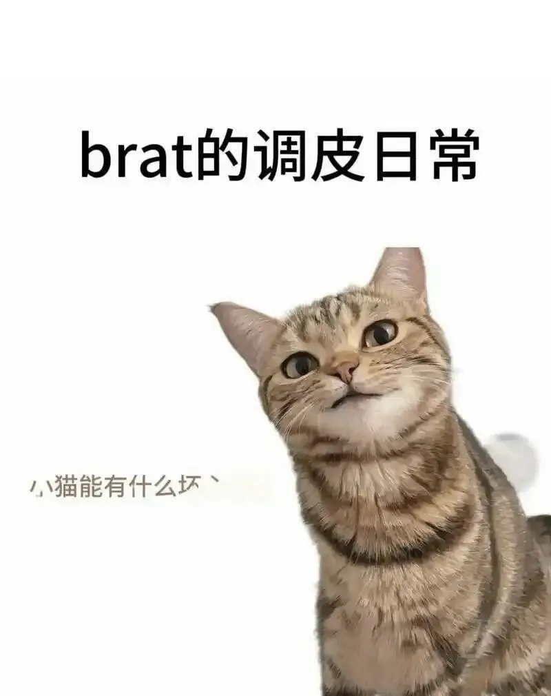 原来我也喜欢被轻拍 一