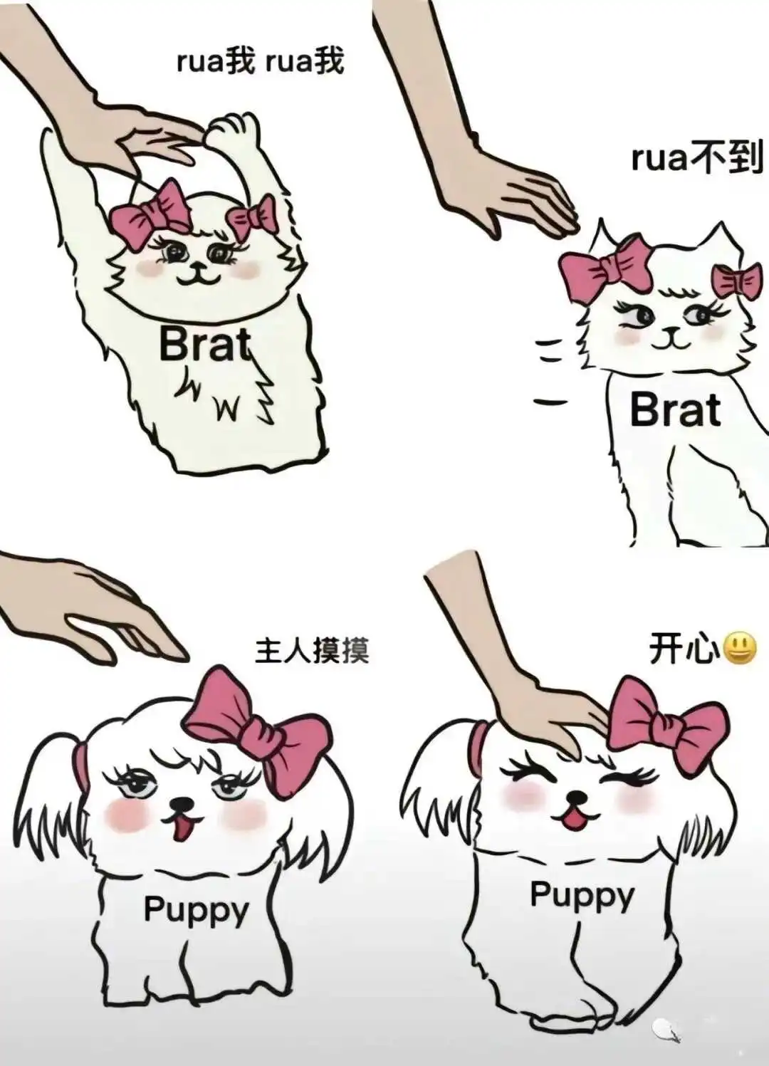 我的斯慕圈与她的秘密游戏 一