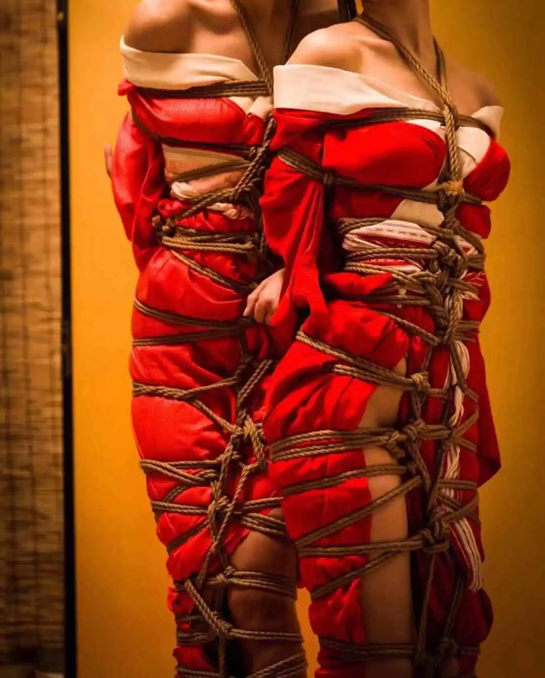 k9犬系是什么？揭秘这个圈子的魅力与挑战 一