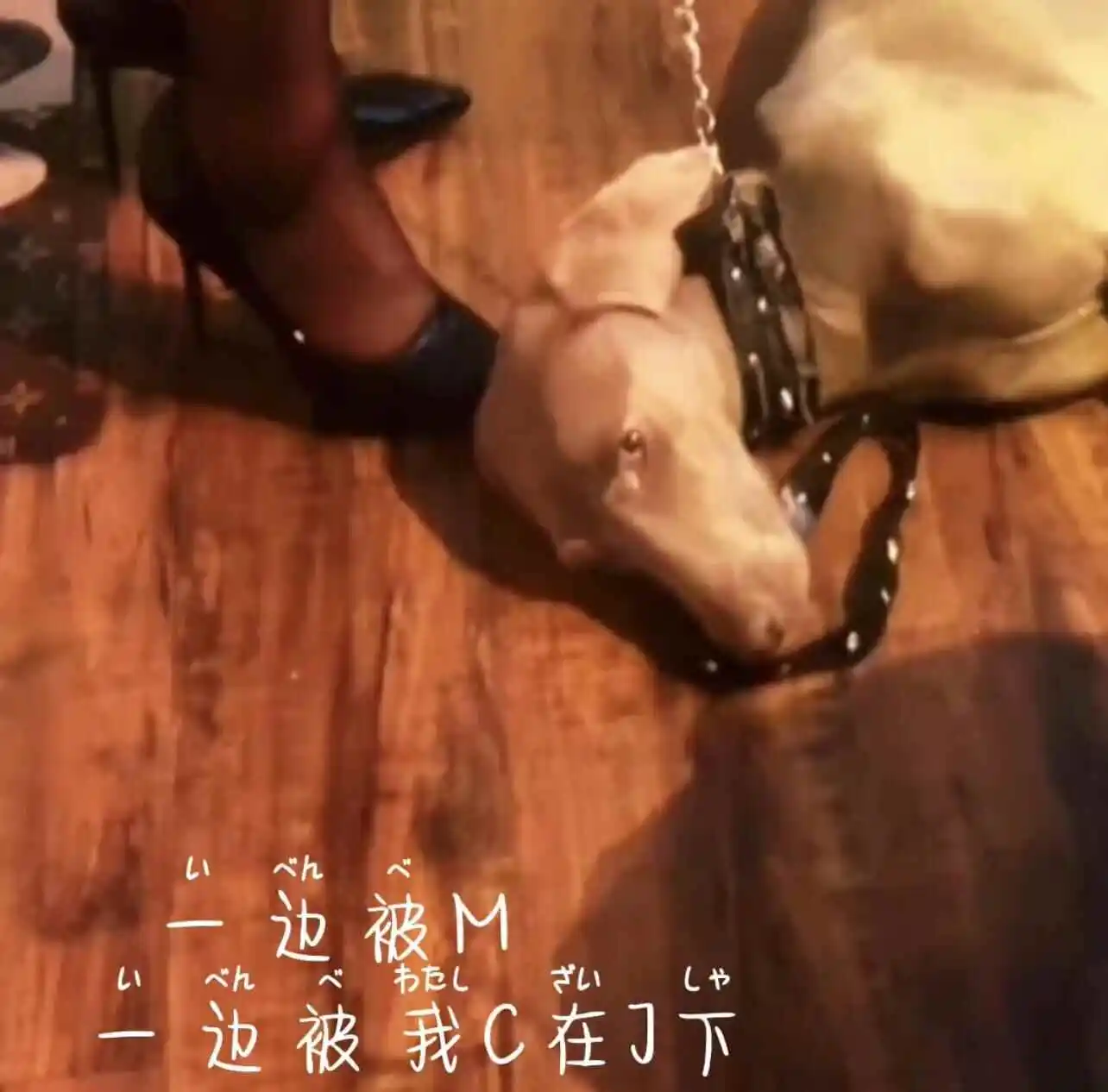 字母圈入圈前你需要了解的潜规则是什么？ 一