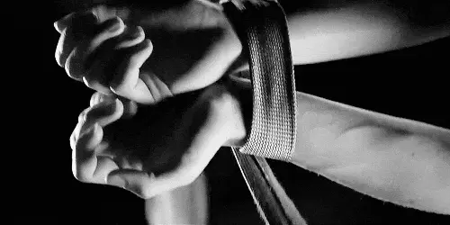 了解k9是什么，揭开角色扮演游戏中的猫奴秘密 一