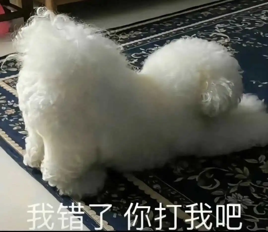 探索s属性：解密BDSM圈中的支配与臣服之美 一