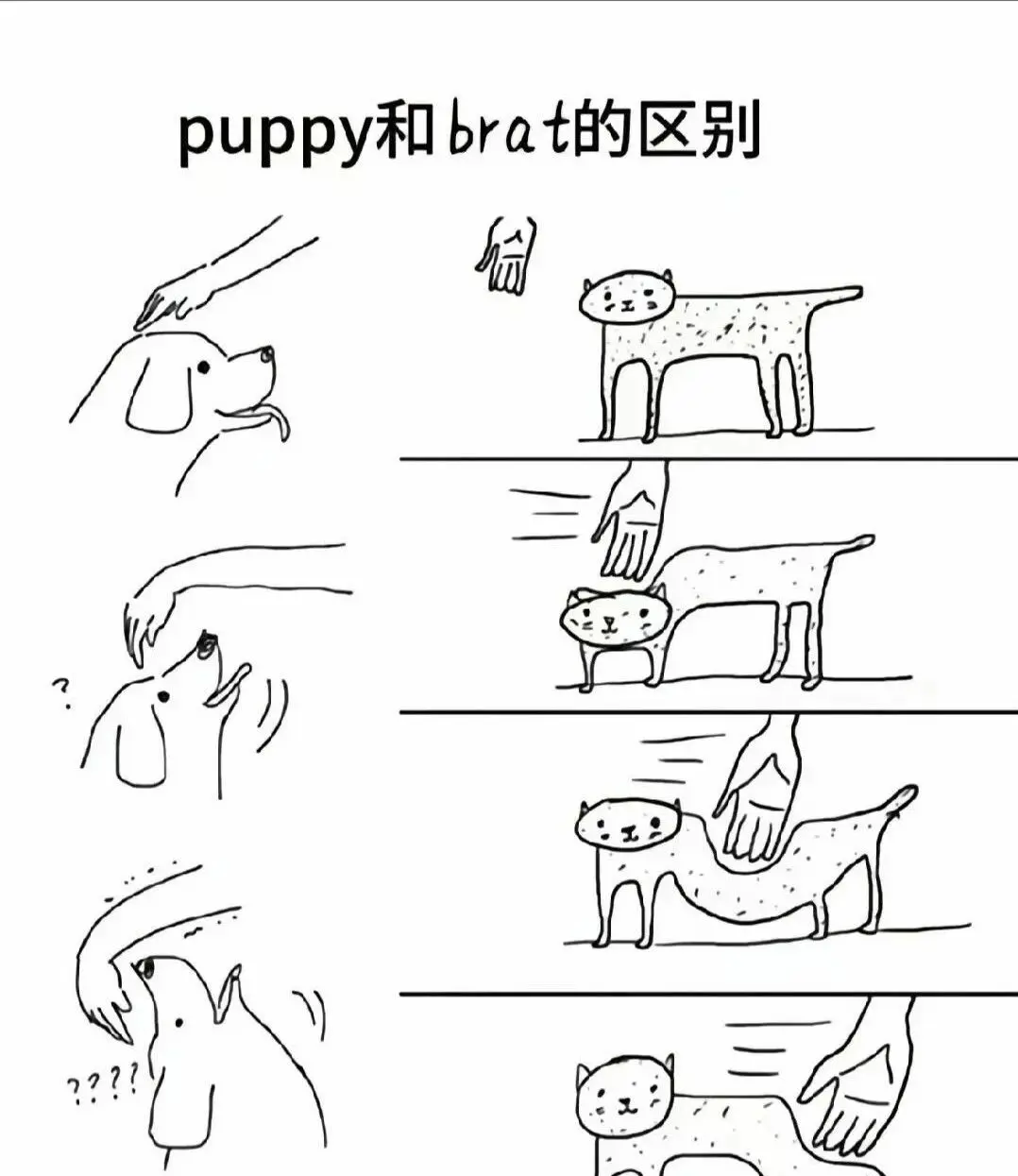 我发现自己有s属性,原来欲望也能如此复杂 一
