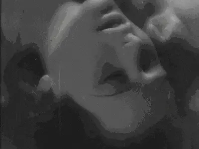 成为你心中的k8猫系，探索萌宠魅力与无限乐趣 一