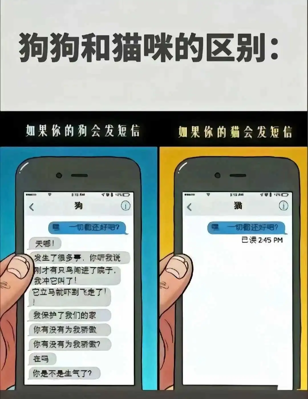 k8是什么?你不知道的秘密与乐趣 一