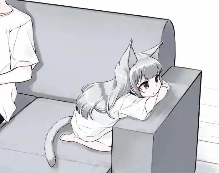 西檬之家k9犬系是什么？ 一