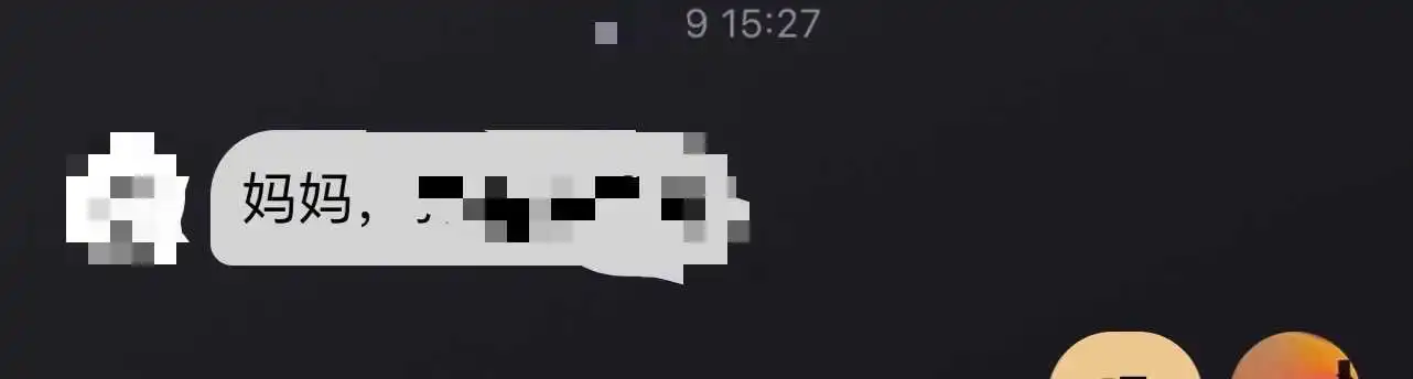 西檬之家K9是什么? 一